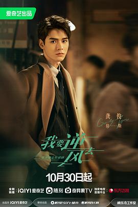 南京公司网站优化价格